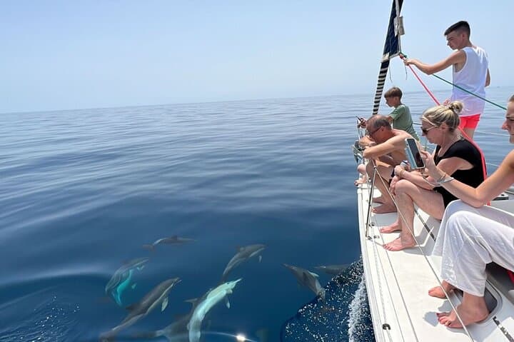 Avistamiento de delfines